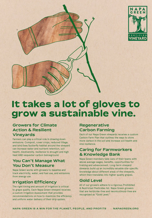 Napa Green Vineyard Poster