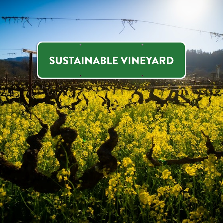 Sustainable Vineyard Sign