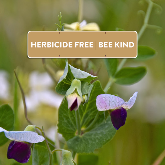 Herbicide Free | Bee Kind Sign